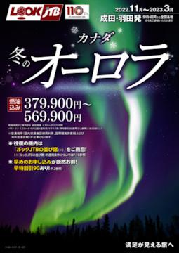 天空に舞う奇跡 オーロラ海外ツアー ルックjtb