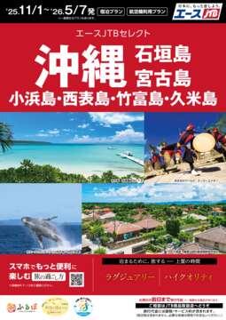 旅行用冊子セット Amazon.co.jp: WHAMVOX 10個セット 着色された封筒 お車代 封筒