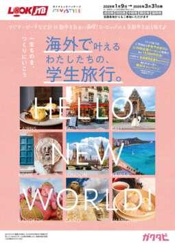 旅行本 パンフレット 書籍『空想旅行案内人 ジャン＝ミッシェル・フォロン』 - BlueSheep